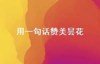 用一句话赞美昙花(精选59句)