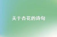 关于杏花的诗句75句汇总 关于杏花的诗句75句汇总