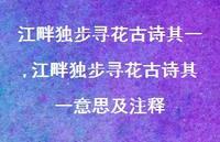 江畔独步寻花古诗其一意思及注释【精品文案100句】