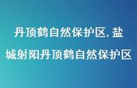 盐城射阳丹顶鹤自然保护区【精品文案100句】 盐城射阳丹顶鹤自然保护区【精品文案100句】