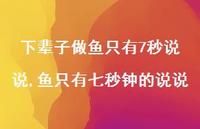 鱼只有七秒钟的说说(100句) 鱼只有七秒钟的说说(100句)