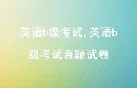 英语b级考试真题试卷【100句文案精选】 英语b级考试真题试卷【100句文案精选】