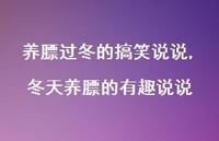冬天养膘的有趣说说(100句) 冬天养膘的有趣说说(100句)