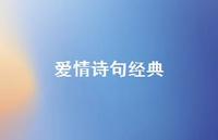 爱情诗句经典75句汇总