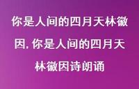 你是人间的四月天林徽因诗朗诵【精品文案100句】