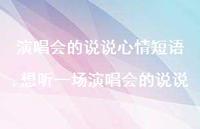 想听一场演唱会的说说(100句)