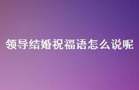 领导结婚祝福语怎么说呢合集39句精选 领导结婚祝福语怎么说呢合集39句精选