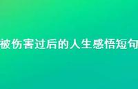被伤害过后的人生感悟短句65句汇总 被伤害过后的人生感悟短句65句汇总