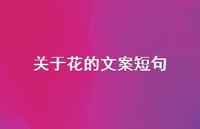 关于花的文案短句【100句精选短句合集】