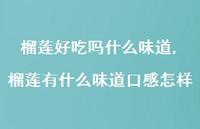 榴莲有什么味道口感怎样(100句)