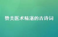 赞美医术精湛的古诗词(精选61句)