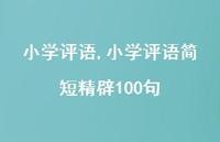小学评语简短精辟100句【精品文案100句】