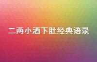 二两小酒下肚经典语录【100句精选短句合集】