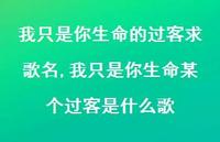 我只是你生命某个过客是什么歌【精选100句】 我只是你生命某个过客是什么歌【精选100句】