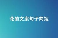 花的文案句子简短【100句精选短句合集】 花的文案句子简短【100句精选短句合集】