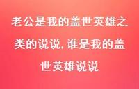 谁是我的盖世英雄说说(100句) 谁是我的盖世英雄说说(100句)