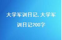 大学军训日记200字【精品文案100句】