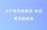 形容哭笑的成语【精选100句】 形容哭笑的成语【精选100句】