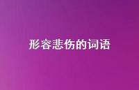 形容悲伤的词语61句汇总