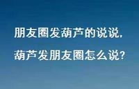 葫芦发朋友圈怎么说?【100句文案】 葫芦发朋友圈怎么说?【100句文案】