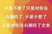不是不爱了只是对你没有期待了文案(100句) 不是不爱了只是对你没有期待了文案(100句)