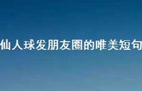 仙人球发朋友圈的唯美短句【100句精选短句合集】 仙人球发朋友圈的唯美短句【100句精选短句合集】