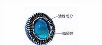 b5389893-5659-4b6a-9e1a-209336873788_2.jpg-s 从拾妆vogcute看国货崛起背后的实力,注重品质是关键