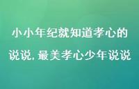 最美孝心少年说说【精选100句】