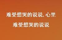 心里难受想哭的说说(100句)