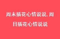 周日插花心情说说(100句)