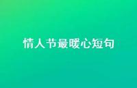 情人节最暖心短句61句汇总