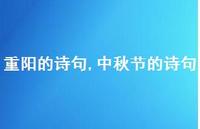 中秋节的诗句【精品文案100句】