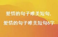 爱情的句子唯美短句6字【精品文案100句】