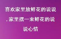 家里摆一束鲜花的说说心情(100句)