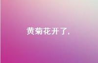 花开了【100句文案精选】