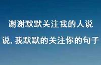 我默默的关注你的句子(100句)
