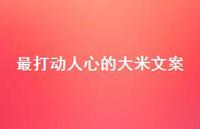 最打动人心的大米文案【100句精选短句合集】