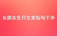 女朋友生日文案短句干净【100句精选短句合集】 女朋友生日文案短句干净【100句精选短句合集】