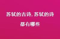 苏轼的诗都有哪些【100句文案精选】 苏轼的诗都有哪些【100句文案精选】