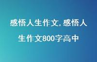 感悟人生作文800字高中【100句文案精选】 感悟人生作文800字高中【100句文案精选】