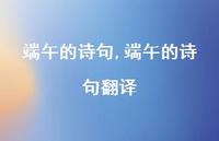 端午的诗句翻译【精品文案100句】