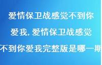 爱情保卫战感觉不到你爱我完整版是哪一期(100句)