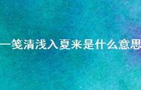 一笺清浅入夏来是什么意思【100句精选短句合集】