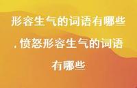 愤怒形容生气的词语有哪些【精品文案100句】 愤怒形容生气的词语有哪些【精品文案100句】