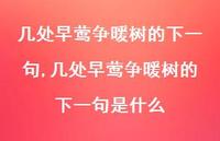 几处早莺争暖树的下一句是什么【100句文案精选】 几处早莺争暖树的下一句是什么【100句文案精选】