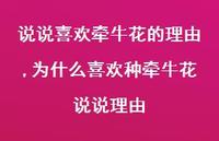 为什么喜欢种牵牛花说说理由(100句)