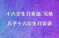 写给儿子十六岁生日寄语(100句)