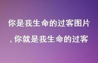 你就是我生命的过客【精选100句】