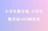 小学生数学报1603期答案【100句文案精选】
