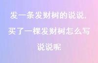 买了一棵发财树怎么写说说呢(100句) 买了一棵发财树怎么写说说呢(100句)